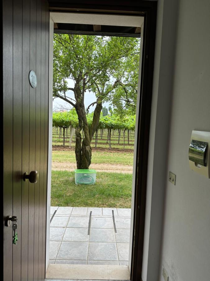Agriturismo Fioravante San Pietro in Cariano Exterior foto